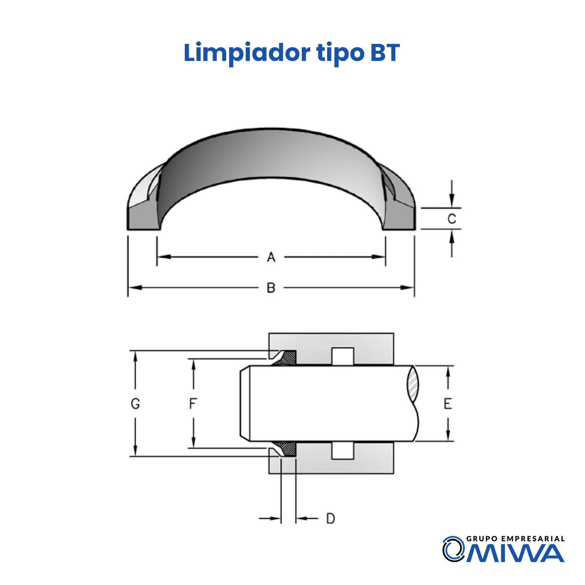 Limpiador tipo BT 5