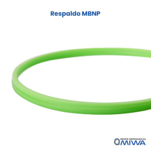 Respaldo MBNP - Imagen 3